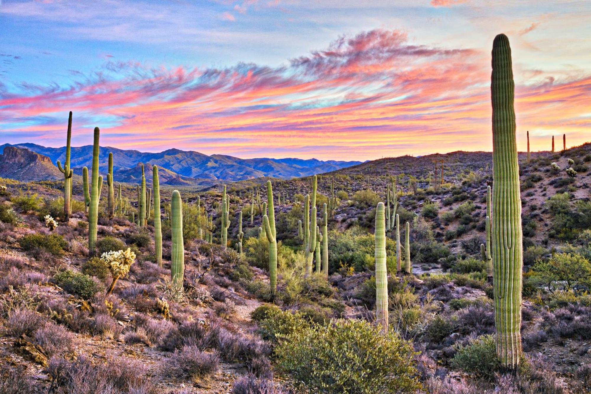 Clubgate Villa & Kierland Escape Scottsdale Zimmer foto